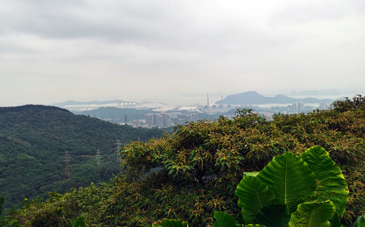 激扬青春、奋勇攀登登山活动